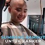 Potongan Rambut Botak